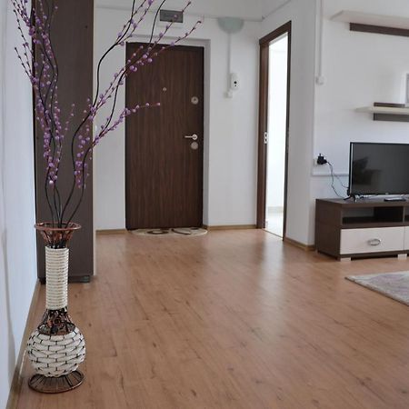 Alexys Residence 8 이아시 외부 사진
